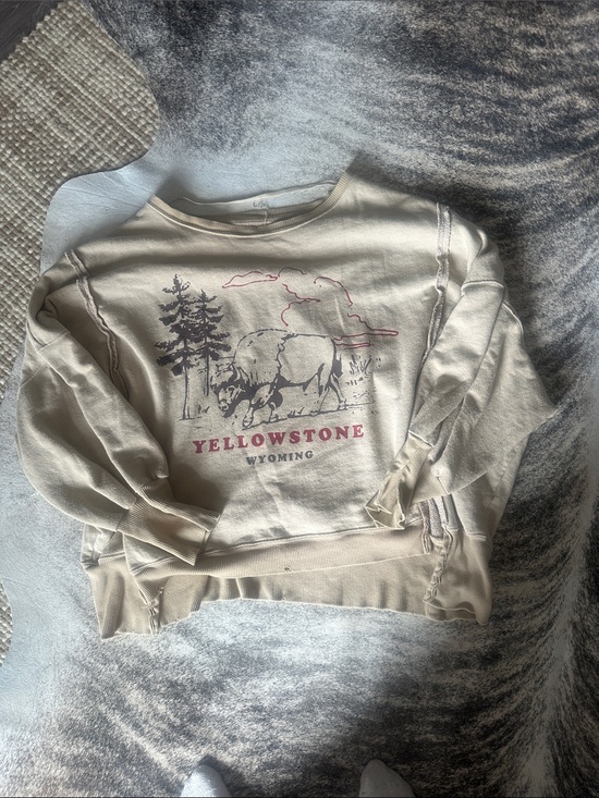 Free People Tops - Free People Cream Yellowstone Wyoming Graphic Sweatshirt with Pink Accent
